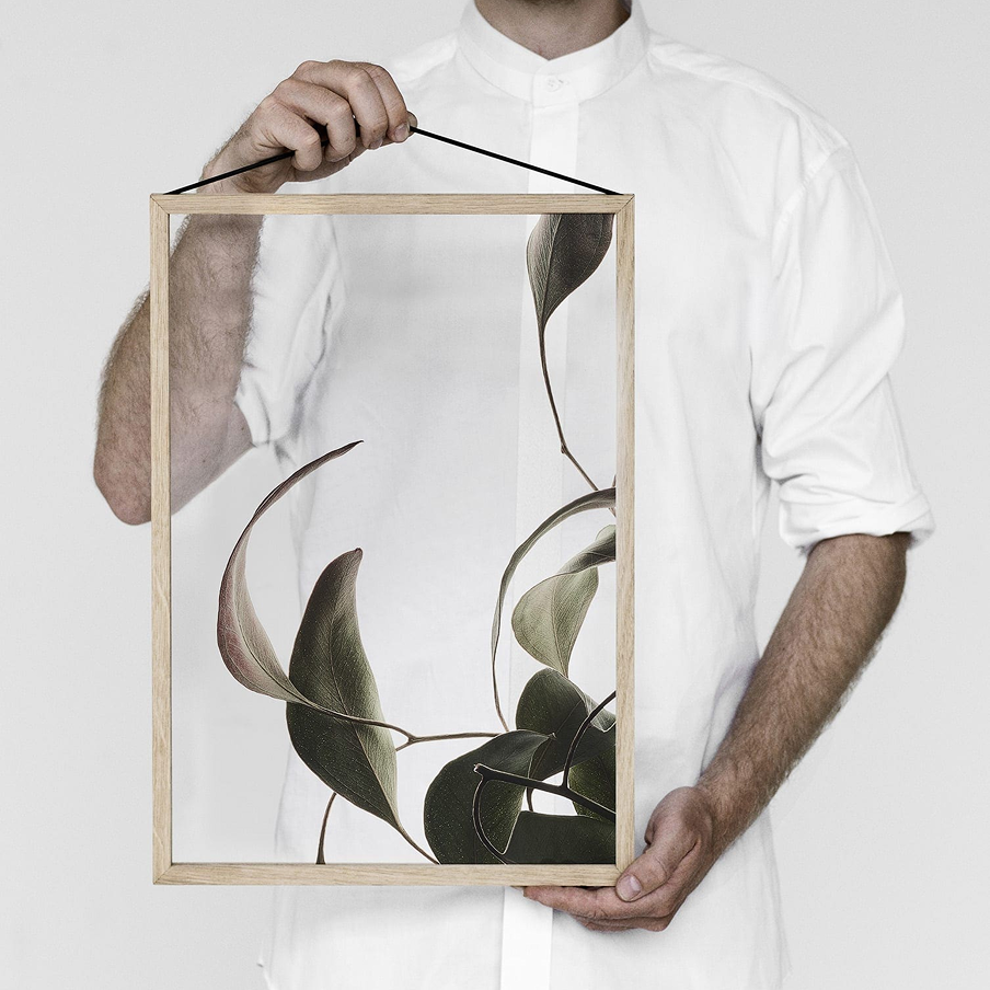 Floating Leaves 08 Stampa - Archive
