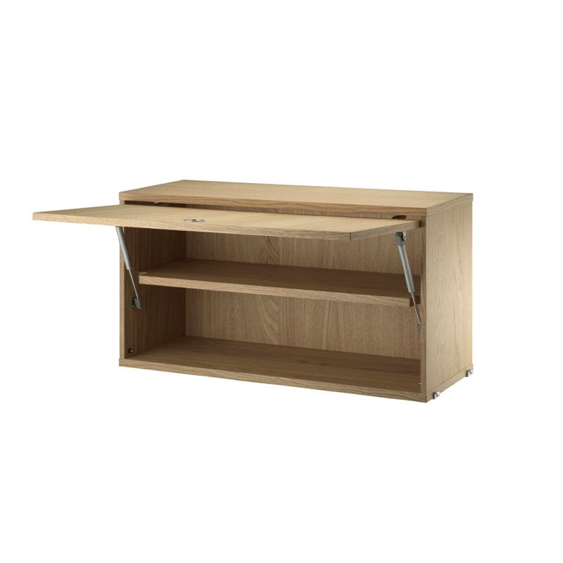 Cabinet with flip door