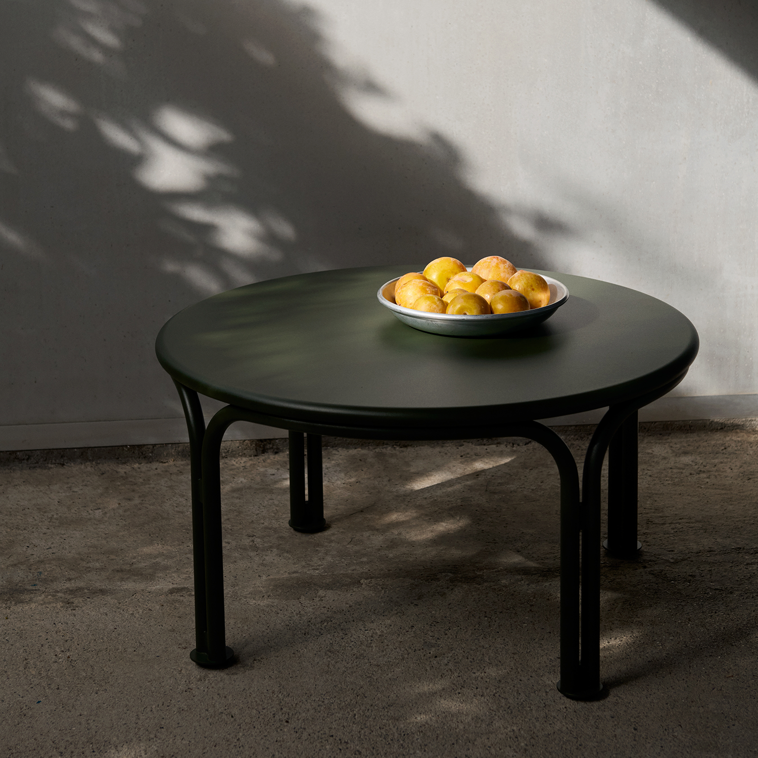 Thorvald SC102-SC108-SC109