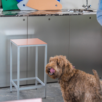 Alu Bar Stool