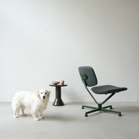 Arba Lounge Chair - Imbottita