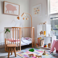 Diciotto, il Porcello