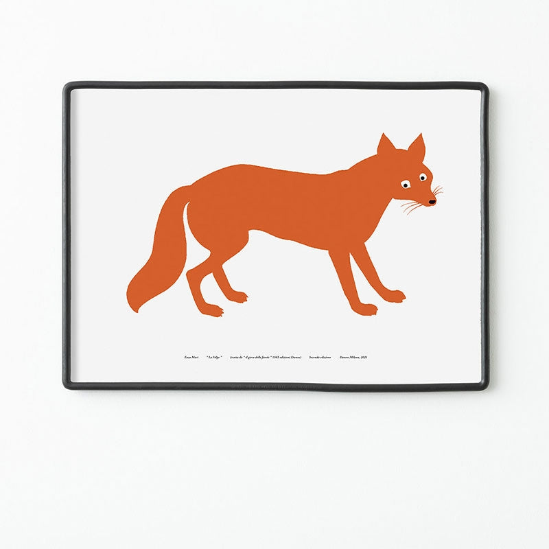 La volpe - Serie della natura