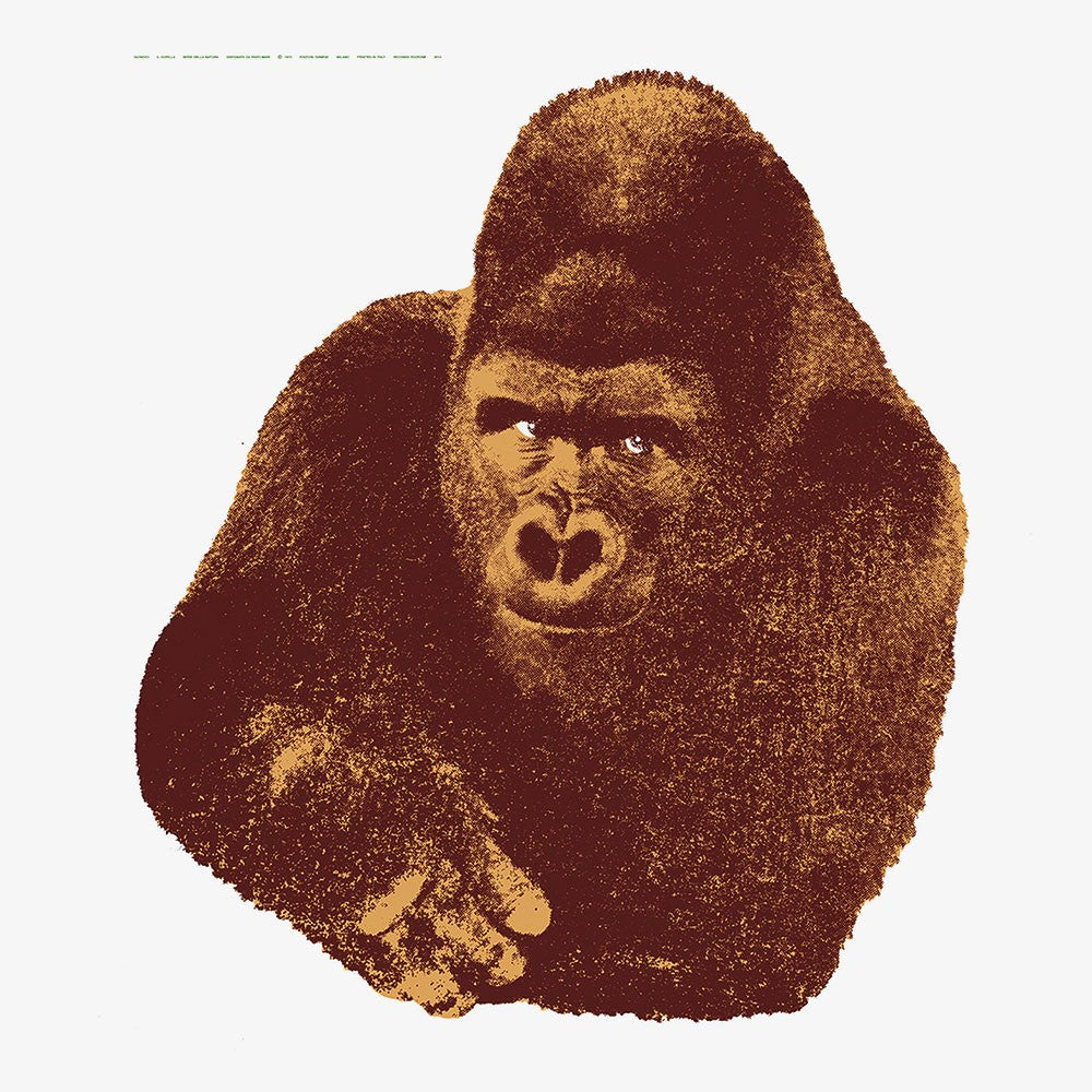 Quindici, il Gorilla