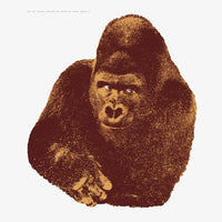 Quindici, il Gorilla