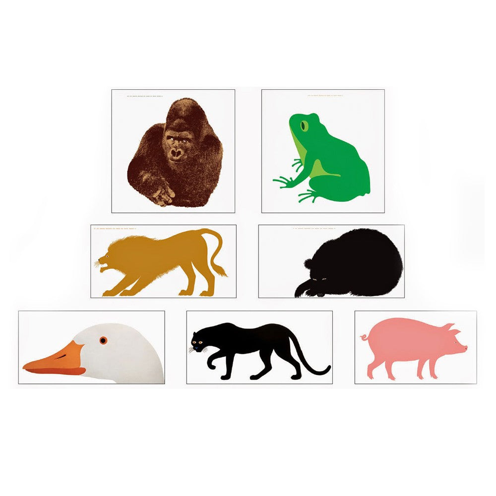 Quindici, il Gorilla