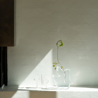 Draw Vase