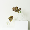 Draw Vase