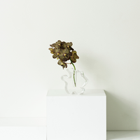 Draw Vase