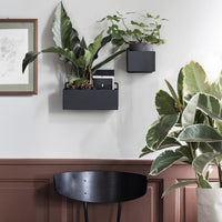 Wall Box - Rectangle