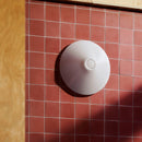 Ono Flush Mount Lamp