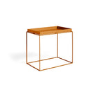 Tray Table L