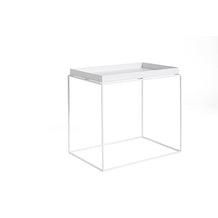 Tray Table L