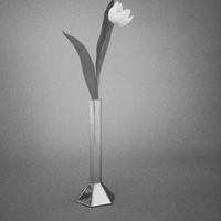 Hexa Vase