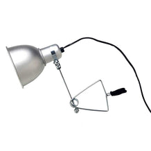 Short Clamp Lamp