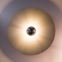 Wall/Ceiling Lamp