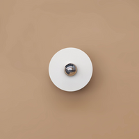 Wall/Ceiling Lamp