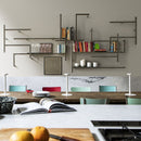 Antologia - Modulo C