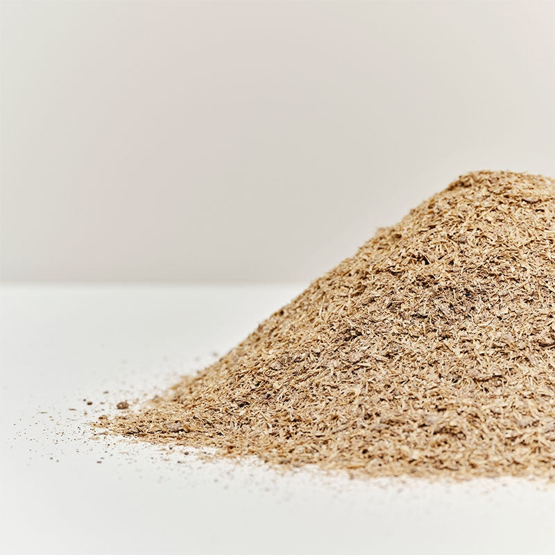 Conscious chair 3162