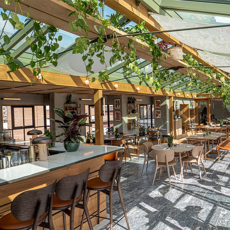 High stool con schienale