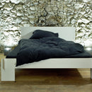 Siebenschläfer con spalliera