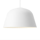 Ambit pendant lamp