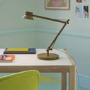 Dedicate table lamp