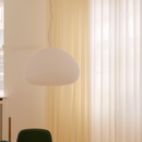 Fluid Pendant Lamp