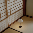 Brolly Portable Light