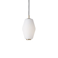 Dahl pendant lamp