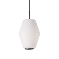Dahl pendant lamp