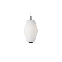 Dahl pendant lamp
