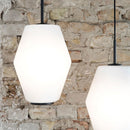 Dahl pendant lamp
