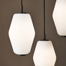 Dahl pendant lamp