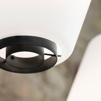 Dahl pendant lamp