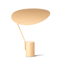 Ombre table lamp