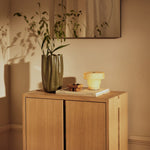 Parcel Hallway Cabinet
