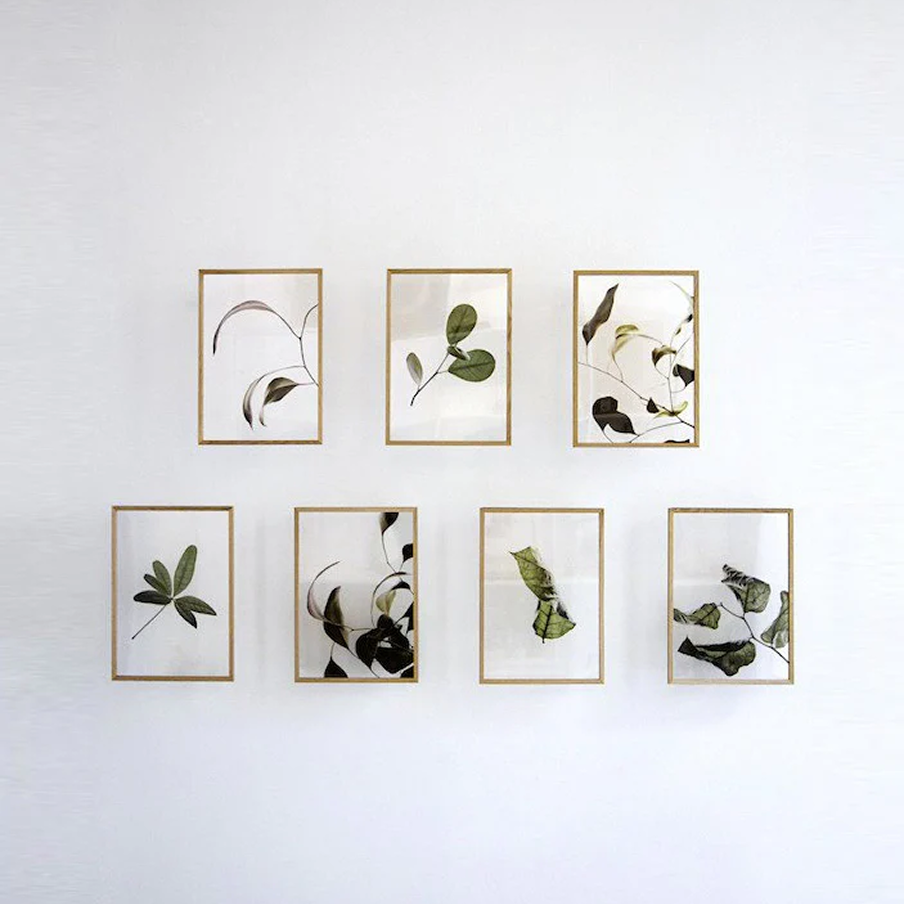 Floating Leaves 03 Print - Archive