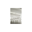 Poetic Concrete 01 Stampa - Archive