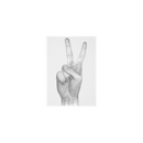 V Hands Stampa - Archive