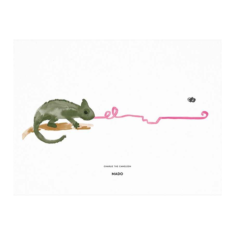 MADO Charlie The Chamelion Stampa - Archive