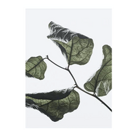 Floating Leaves 03 Print - Archive