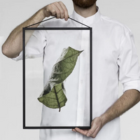 Floating Leaves 04 Stampa - Archive