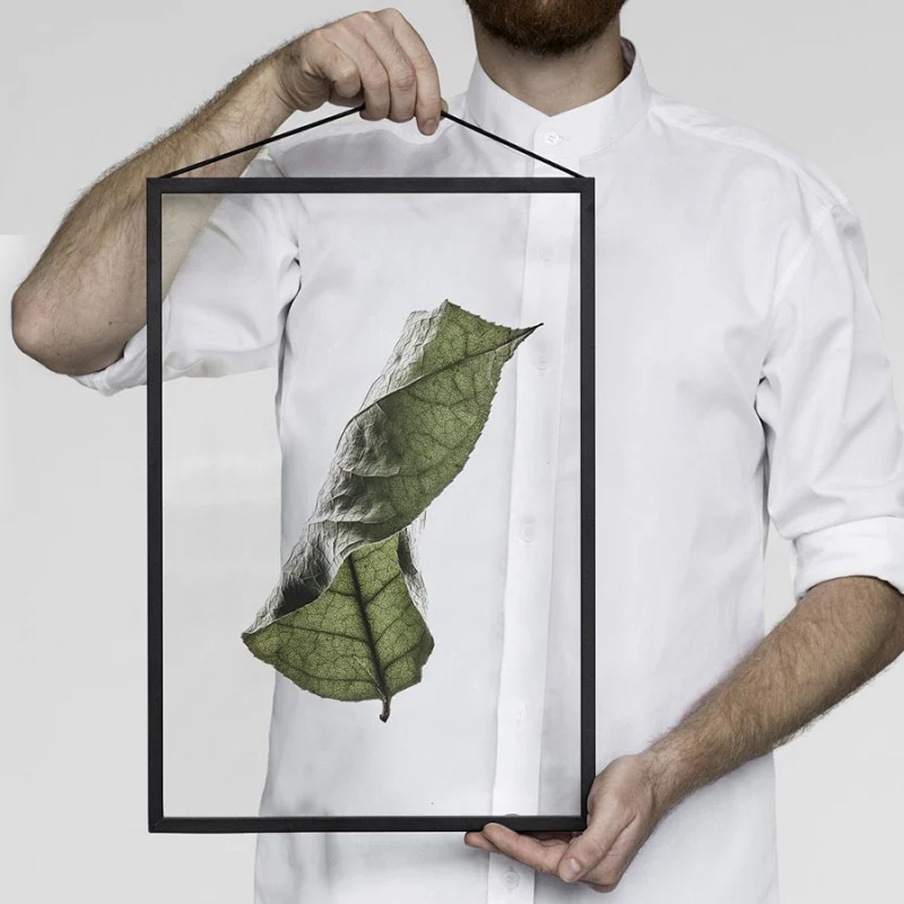 Floating Leaves 04 Stampa - Archive