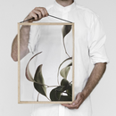Floating Leaves 08 Stampa - Archive