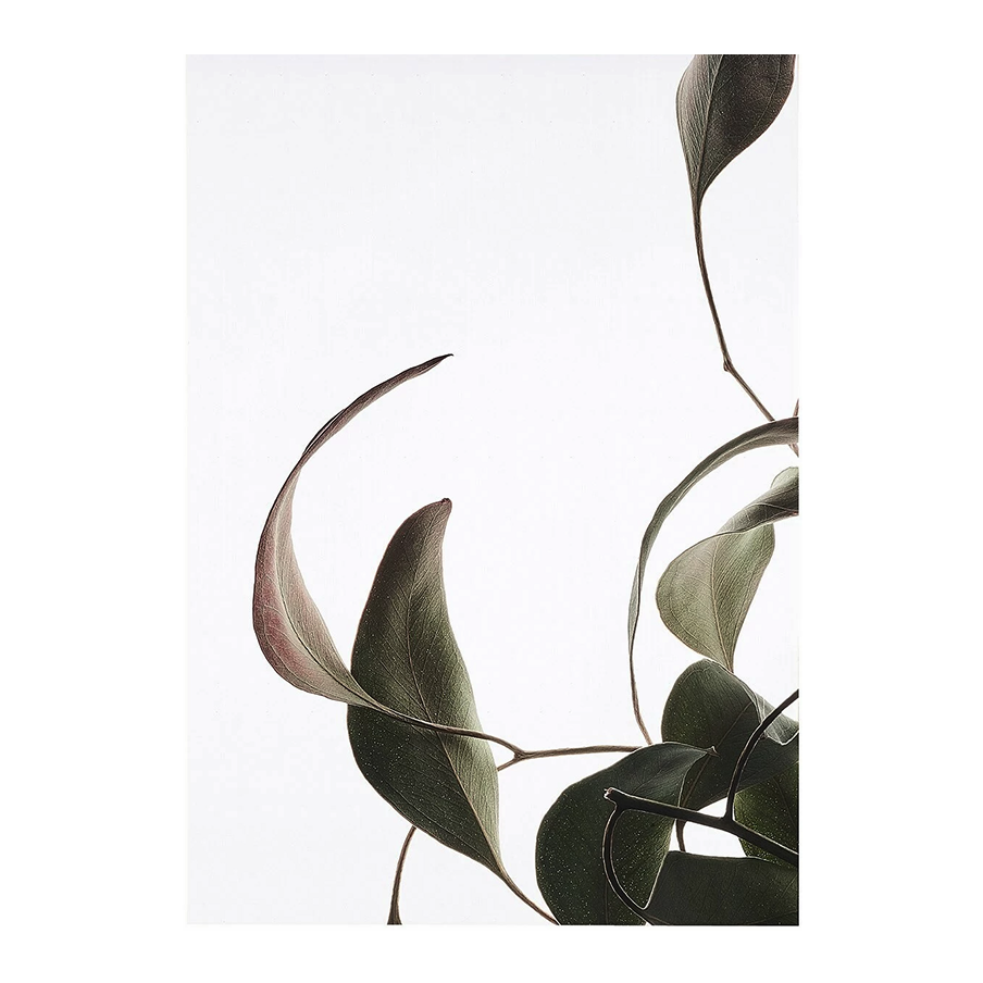 Floating Leaves 08 Stampa - Archive