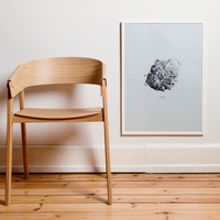 Hailstone, Nature 1:1 Stampa - Archive
