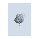 Hailstone, Nature 1:1 Stampa - Archive