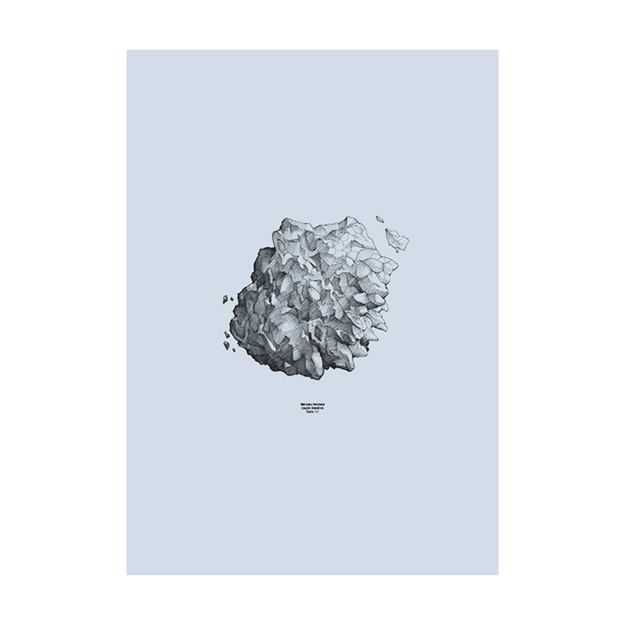 Hailstone, Nature 1:1 Stampa - Archive