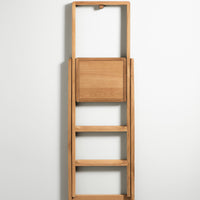 Step Stepladder